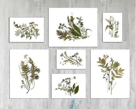 Pressed botanical print set